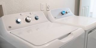 Orlando Sky Gallery 32