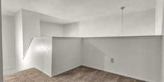 Cedars Gallery 19