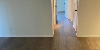 Palm Garden Gallery 10
