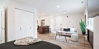 Trellis Herndon Gallery 4