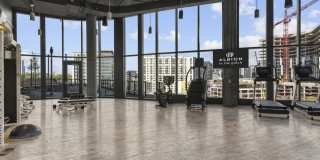Albion in the Gulch Gallery 10