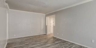 Esplanade by the Lake Gallery 21