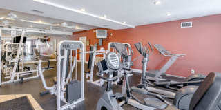 Falcon Falls Gallery 8