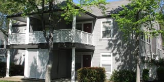 The Charleston Gallery 18