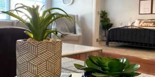 Village South Gallery 11