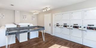 Wood Trail Gallery 34