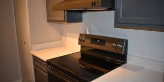 The Lake Shore Apartments Gallery 69