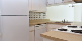 Casablanca East Gallery 9