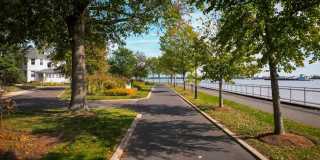 AVE Normandy Gallery 15