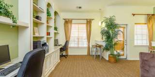 Stone Mist Gallery 18