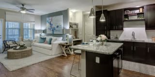 Addison Pointe Gallery 4