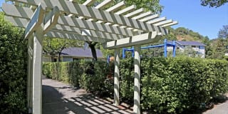 McInnis Park Gallery 25