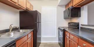 Avistar at Wilcrest Gallery 1