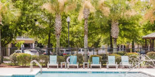 Prosper Orange Beach Gallery 25