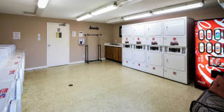 Cross Creek Gallery 24