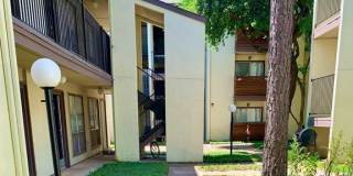 Turtle Dove - I & II Apartment Gallery 6