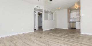 Agave on 83rd Gallery 10