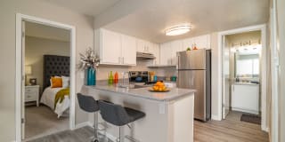 Dorado Heights Gallery 6