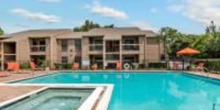 Gladstell Forest Gallery 1