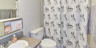 The Onyx at 3211 Gallery 7