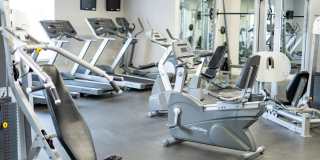 Legacy at Linden Park Gallery 43