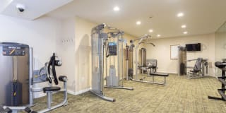 Haverford Court Gallery 10