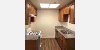 6510 La Mirada Ave Gallery 13