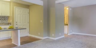 Twenty2Eleven Apartments Gallery 6