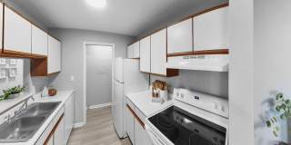 The Element @ St Andrews Gallery 6