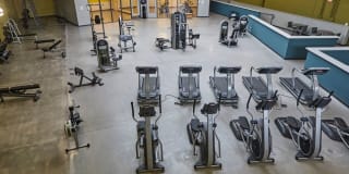 Mansion House Gallery 18