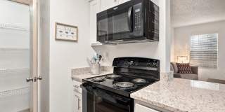 Seraphina Castle Hills Gallery 16