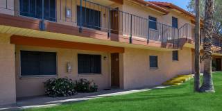 Whispering Willows Gallery 21