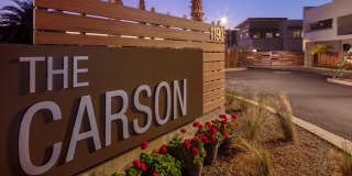 The Carson Gallery 51
