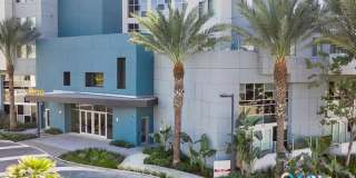 The Oasis Gallery 6