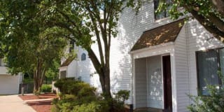 Payne Hill Gallery 5