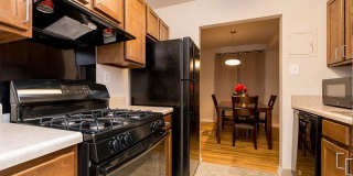 Fort Chaplin Park Gallery 1