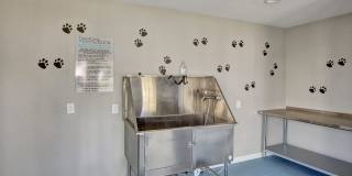 Diamond Loch Gallery 23