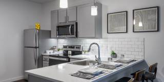 Axis at Ansel Axis at Ansel Gallery 2