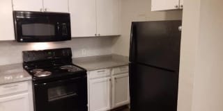 Travis Gardens Gallery 1