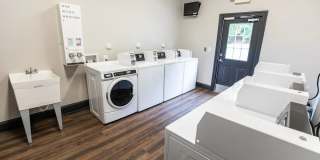 Legacy at Linden Park Gallery 39