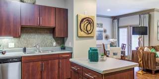 Eagle's Brooke Gallery 7