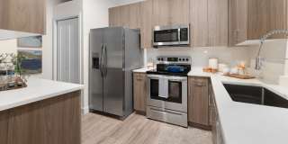 Borrego at Spectrum by Mark-Taylor Gallery 1