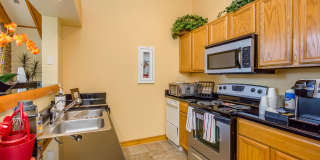 Stone Mist Gallery 23