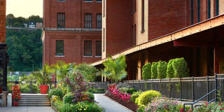 Cork Factory Gallery 28