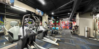 The Cecil Gallery 19