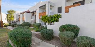 The Residences at Palm Valley Gallery 30
