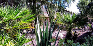 Mountain Plaza Gallery 33