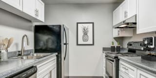 The Woodlands Gallery 1