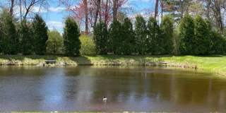 Park View Hills Condominium Gallery 11