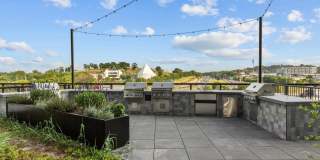 Albion in the Gulch Gallery 19